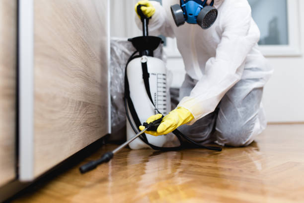 Pest Prevention Services in North Vacherie, LA