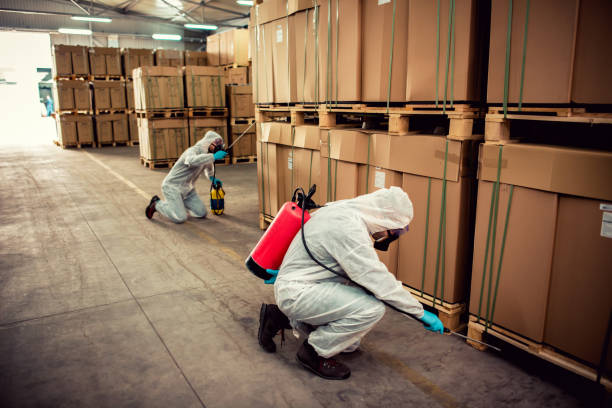 Best Wasp Removal Services  in North Vacherie, LA