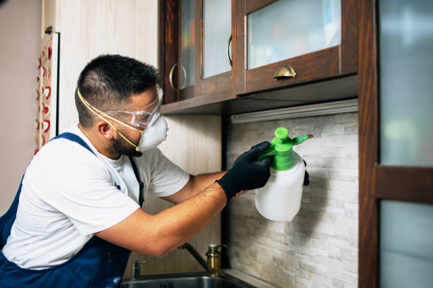 Best Mosquito Control Services  in North Vacherie, LA
