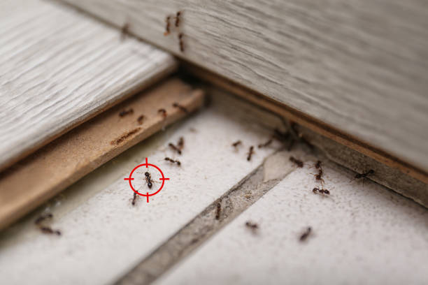  North Vacherie, LA Pest Control Pros