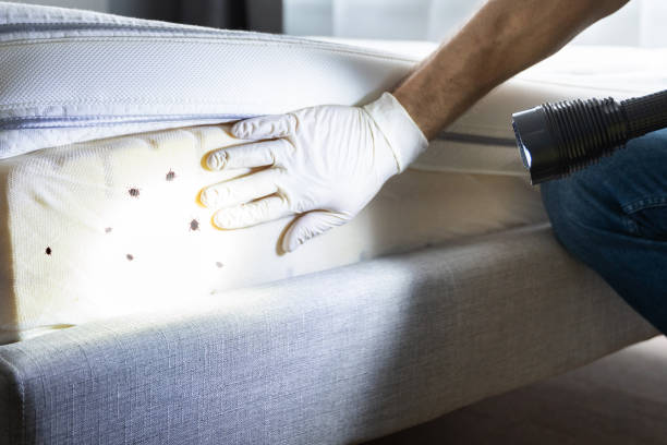 Best Commercial Pest Control Services  in North Vacherie, LA
