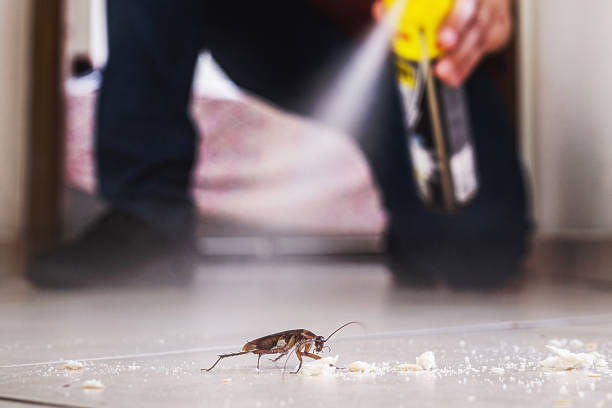 Best Cockroach Control Services  in North Vacherie, LA