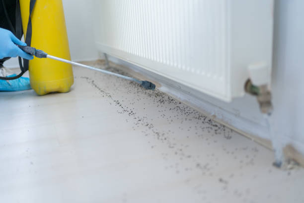 Best Pest Control Near Me  in North Vacherie, LA