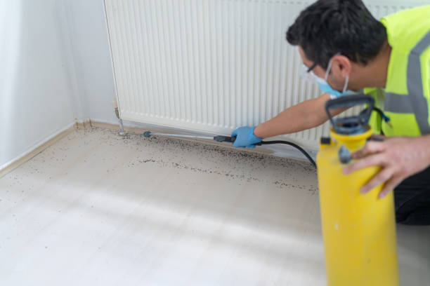 Best Termite Control Services  in North Vacherie, LA