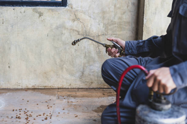 Best Affordable Pest Control Services  in North Vacherie, LA